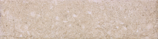 Westbury Natural - Beige Porcelain Setts - 280 x 70 x 20mm